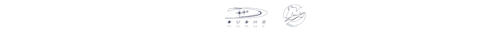 Payments